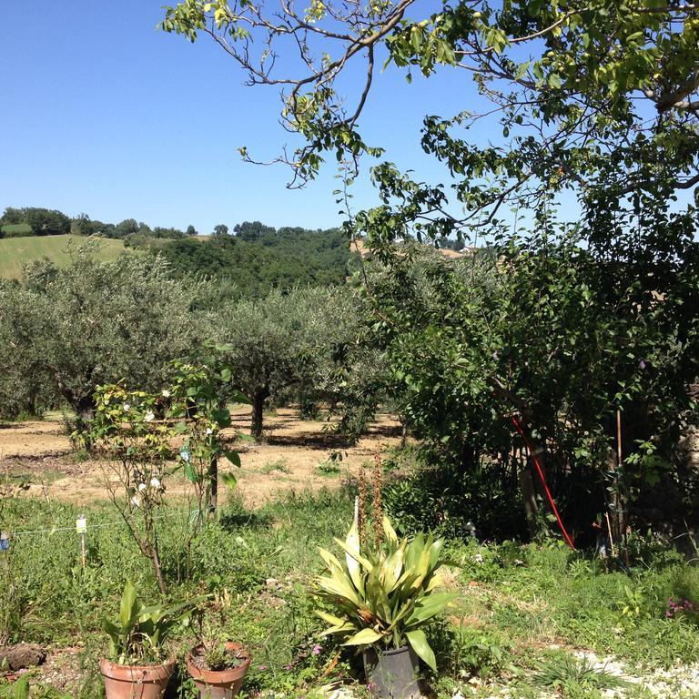 Вилла Masseria Spadone Civitella Casanova Экстерьер фото